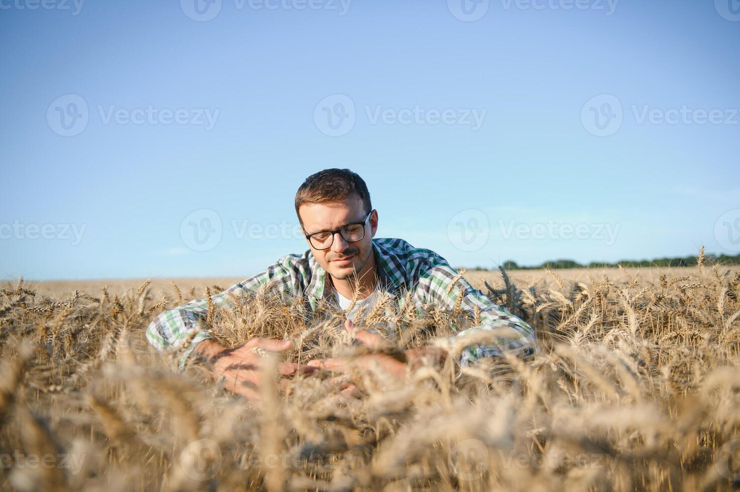 joven agrónomo en grano campo. cereal agricultura foto