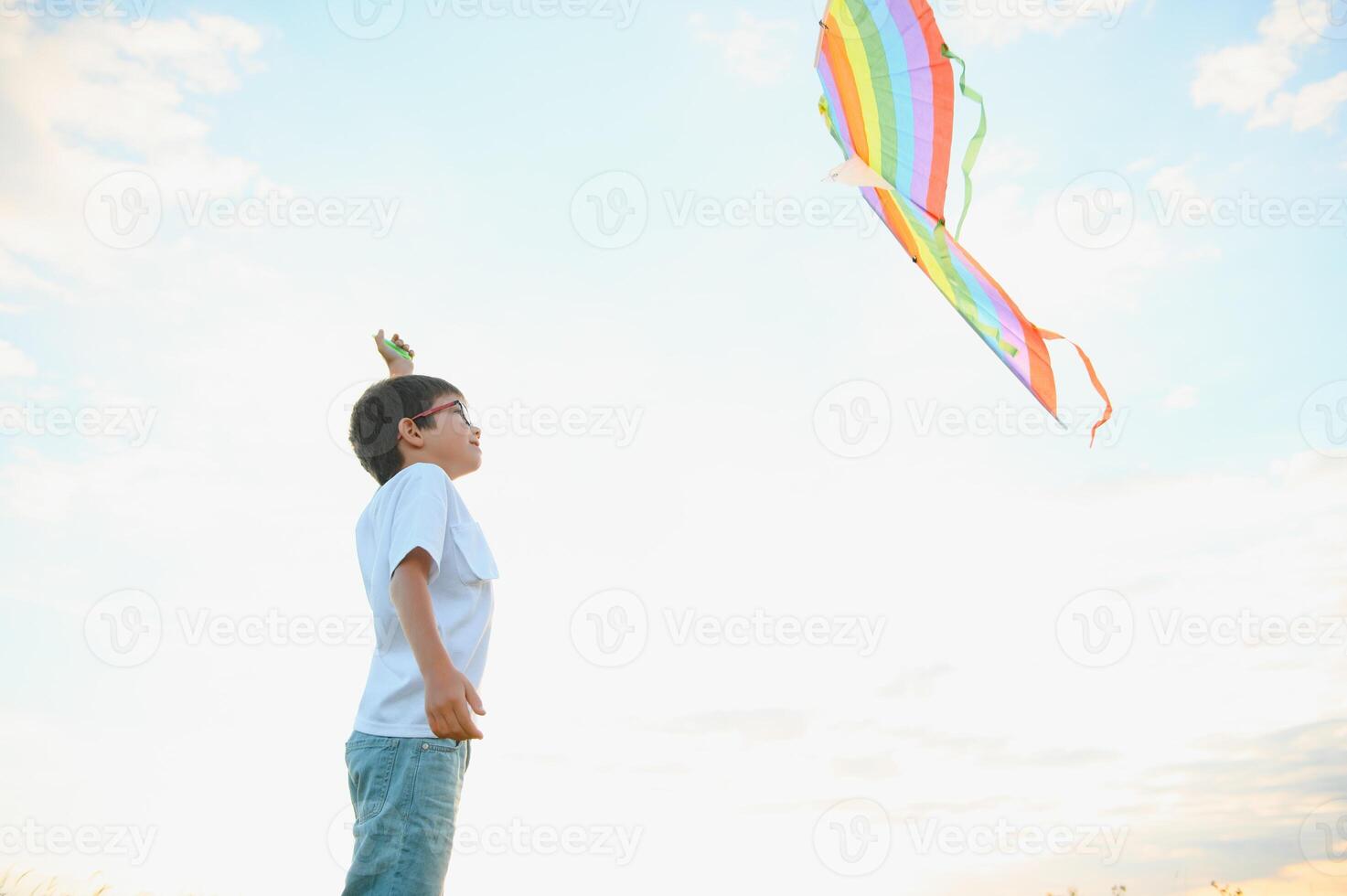 Kid with kite on meadow photo