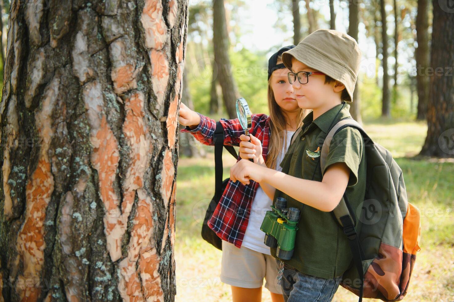 niños exploradores en el bosque. foto