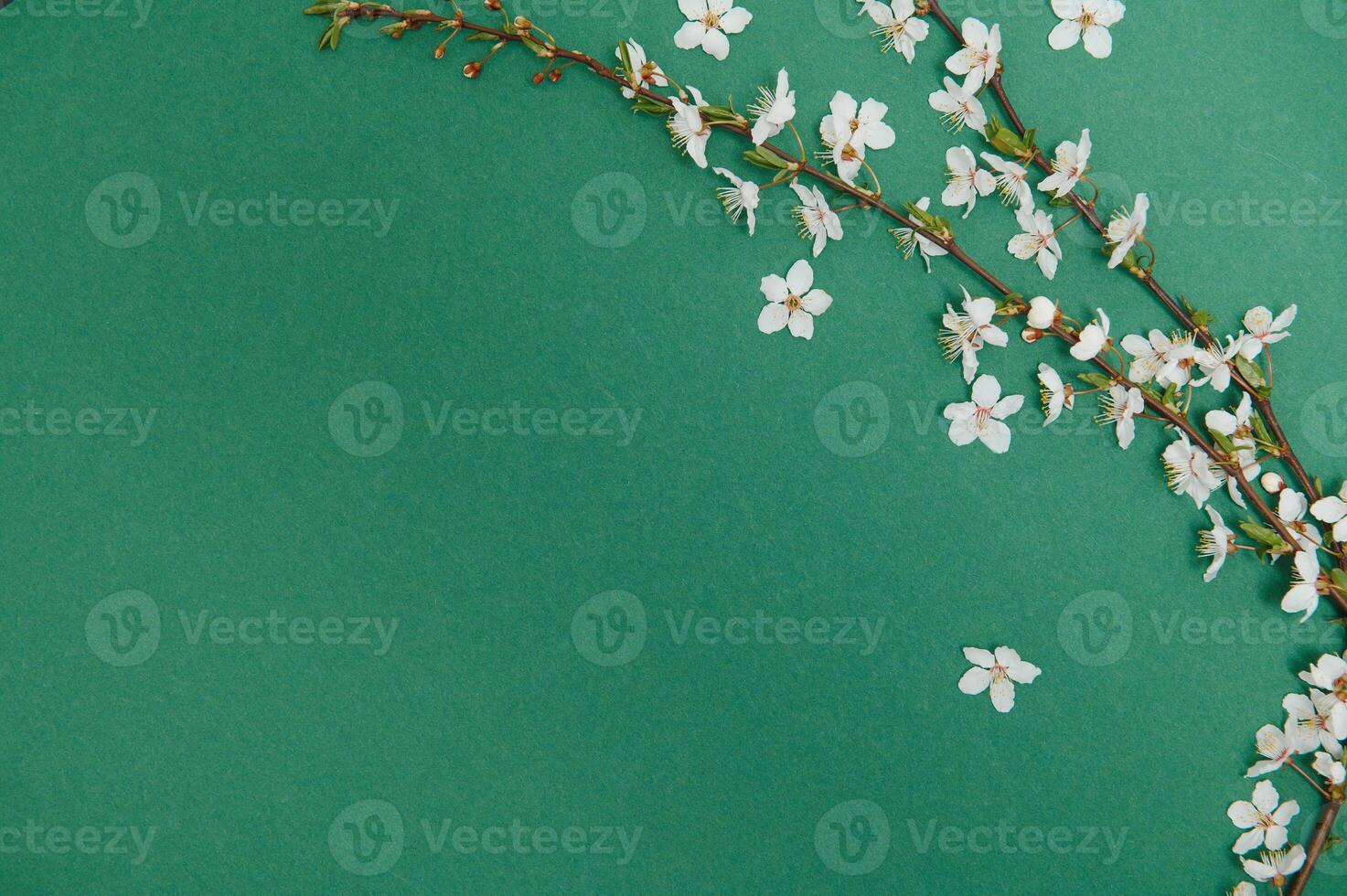 Spring background table. May flowers and April floral nature on green. For banner, branches of blossoming cherry against background. Dreamy romantic image, landscape panorama, copy space photo