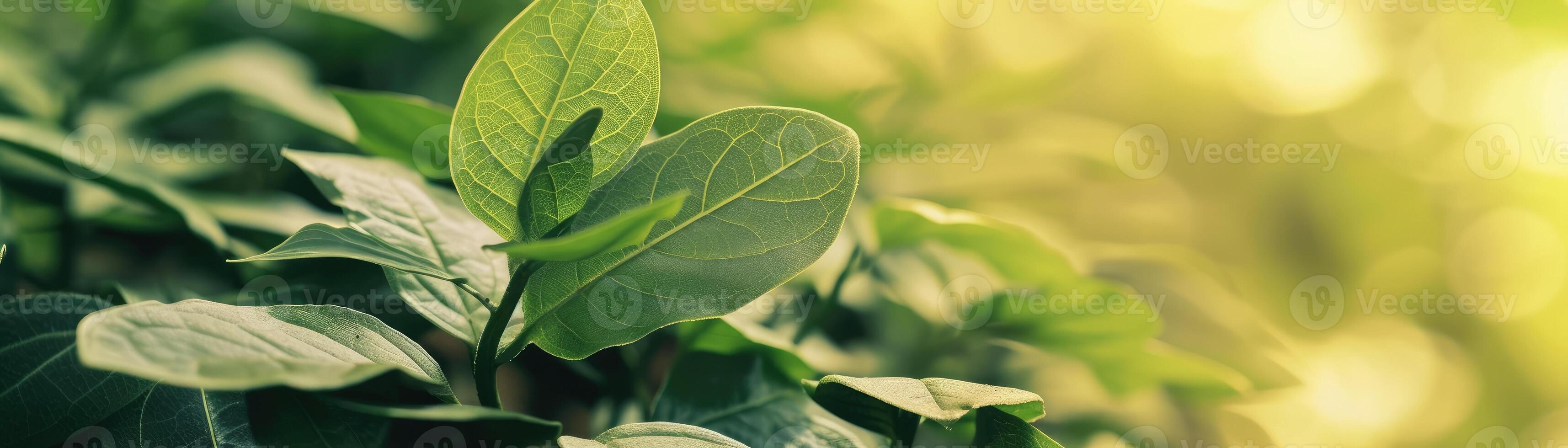 AI generated Close-up of a green bond certificate, symbolizing investment in sustainable projects, with a leafy background photo