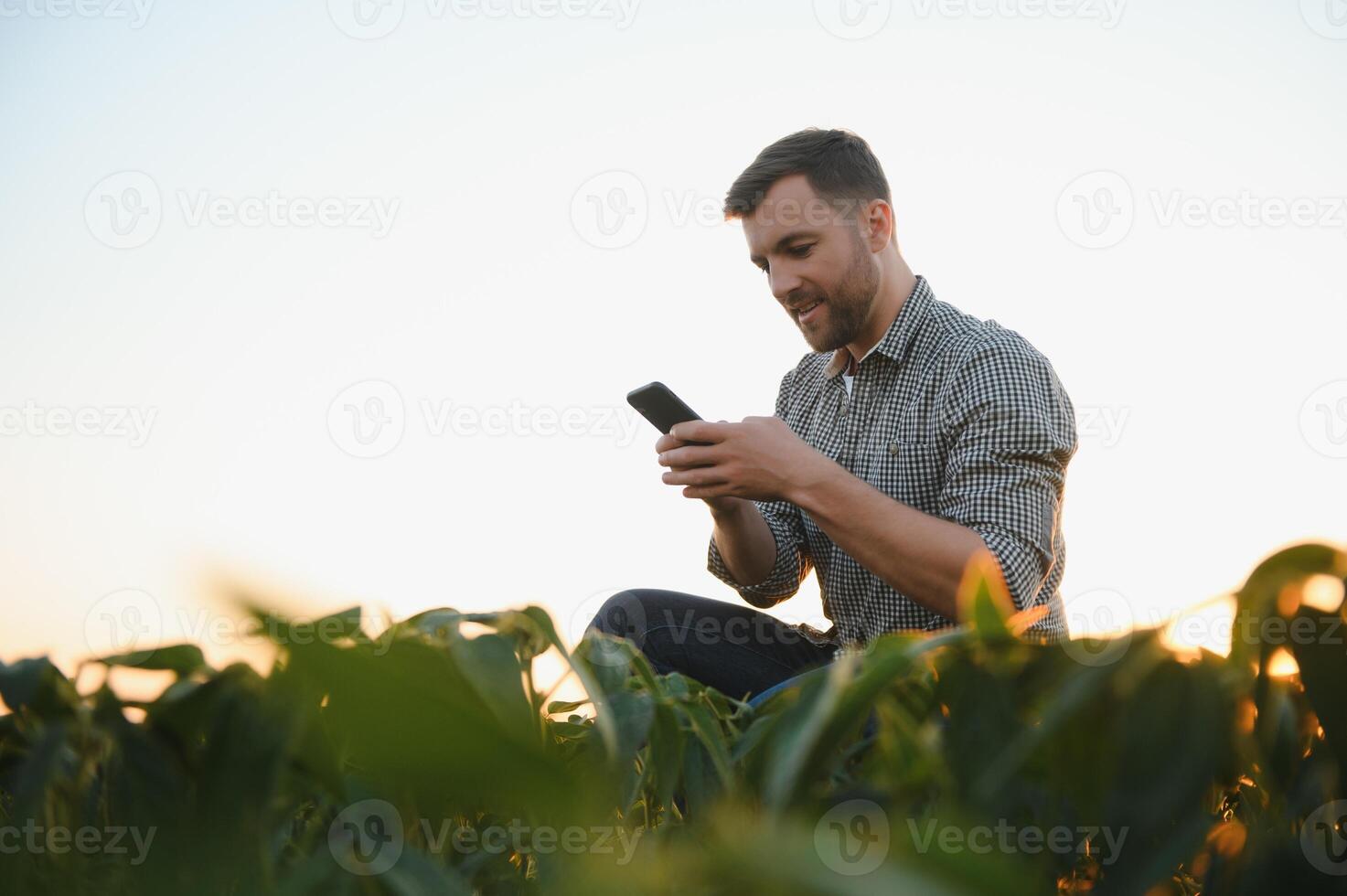 Agronomist inspecting soya bean crops growing in the farm field. Agriculture production concept. young agronomist examines soybean crop on field in summer. Farmer on soybean field. photo