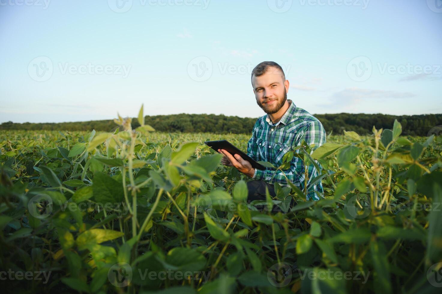 Young agronomist holds tablet touch pad computer in the soy field and examining crops before harvesting. Agribusiness concept. agricultural engineer standing in a soy field with a tablet in summer. photo