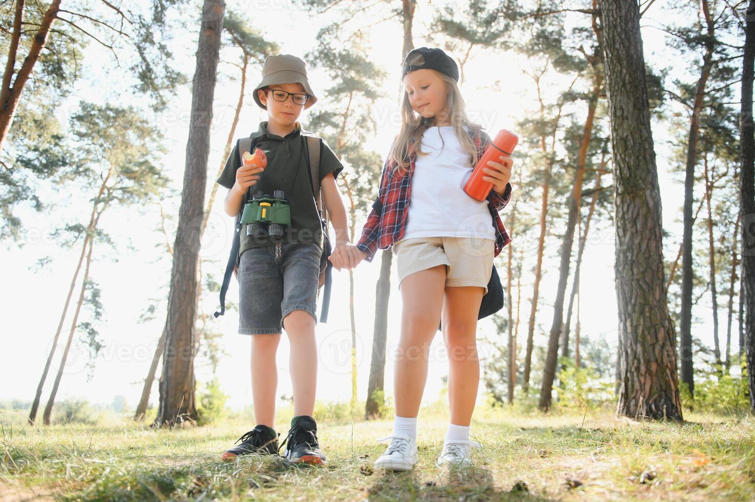 Two happy children having fun during forest hike on beautiful day in pine forest. Cute boy scout with binoculars during hiking in summer forest. Concepts of adventure, scouting and hiking tourism photo