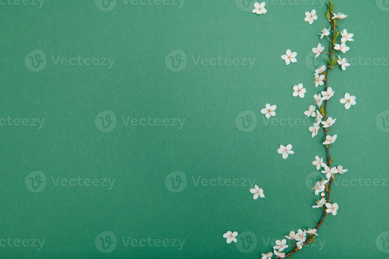 Spring background table. May flowers and April floral nature on green. For banner, branches of blossoming cherry against background. Dreamy romantic image, landscape panorama, copy space photo