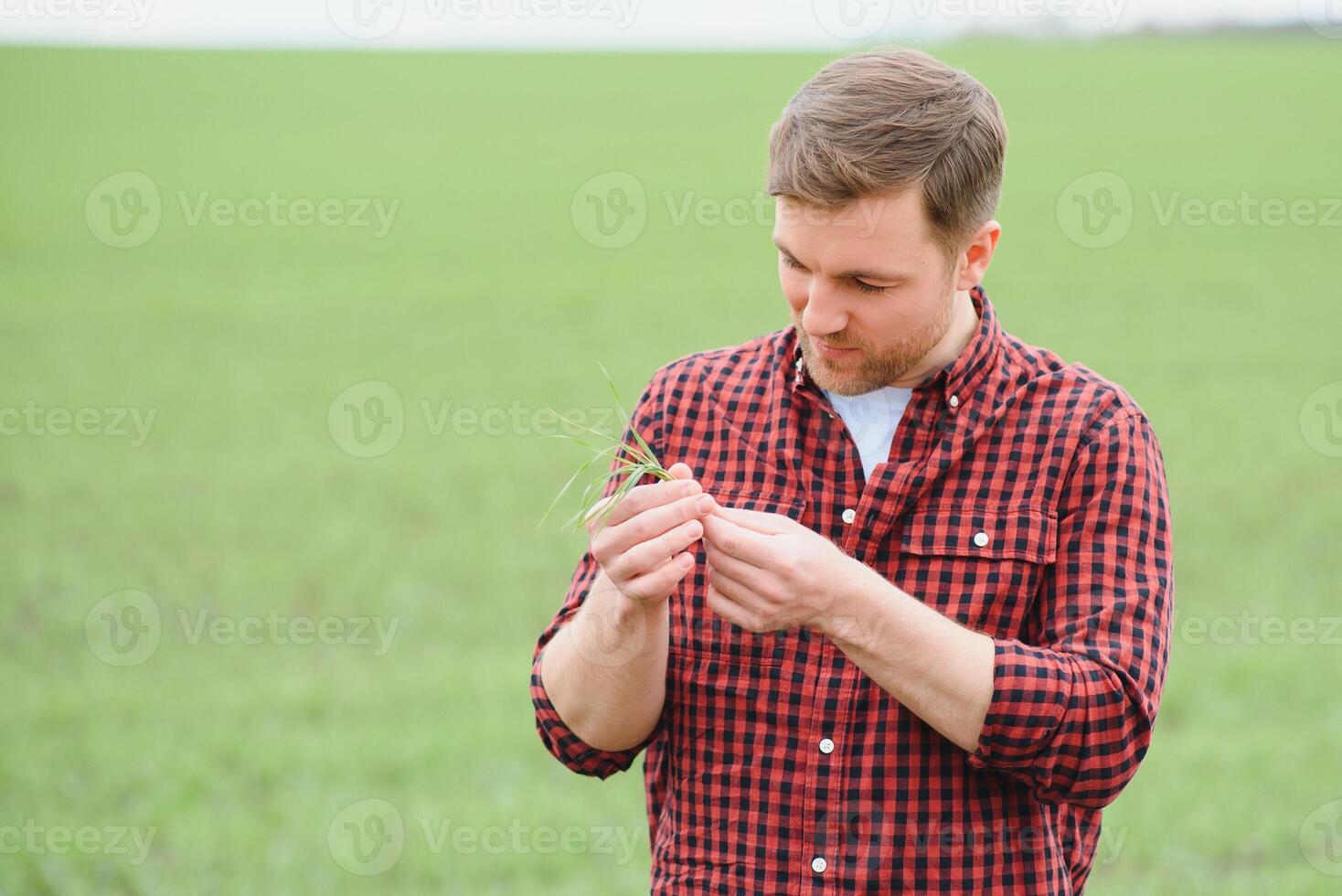 Handsome farmer. Young man walking in green field. Spring agriculture. photo