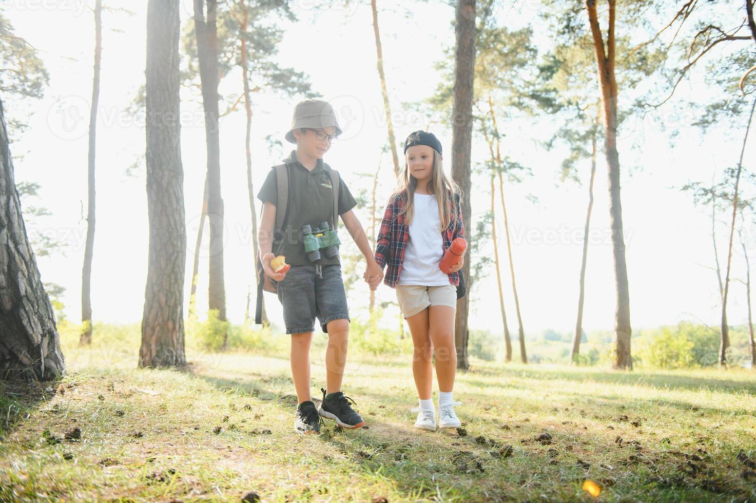 Happy excited school children with backpacks in casual clothes enjoying walk in forest on sunny autumn day, two active kids boy and girl running and playing together during camping trip in nature. photo