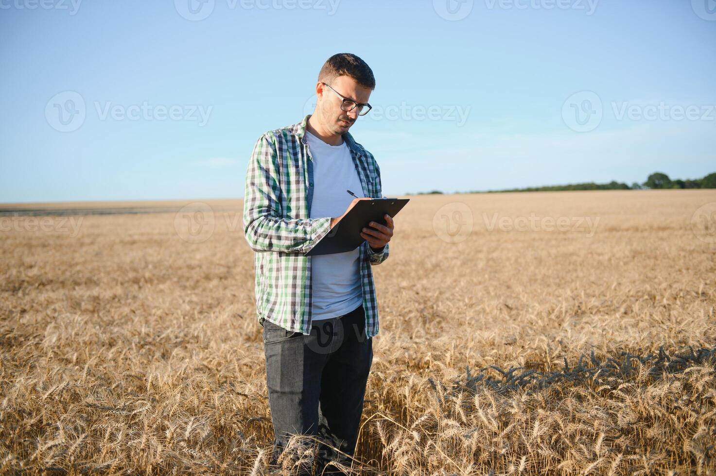 joven agrónomo en grano campo. cereal agricultura foto