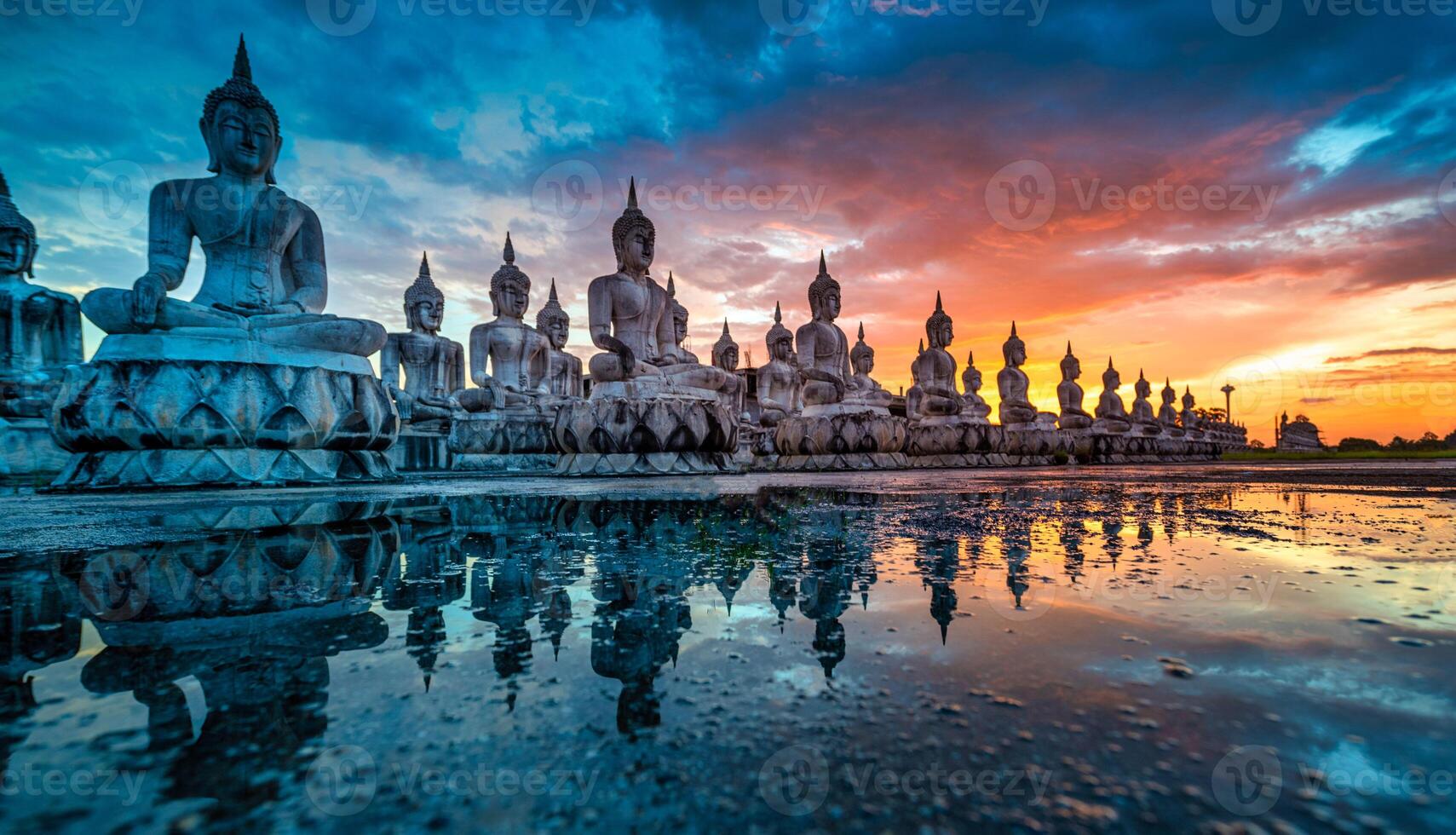 Many Statue buddha image at sunset in southen of Thailand photo