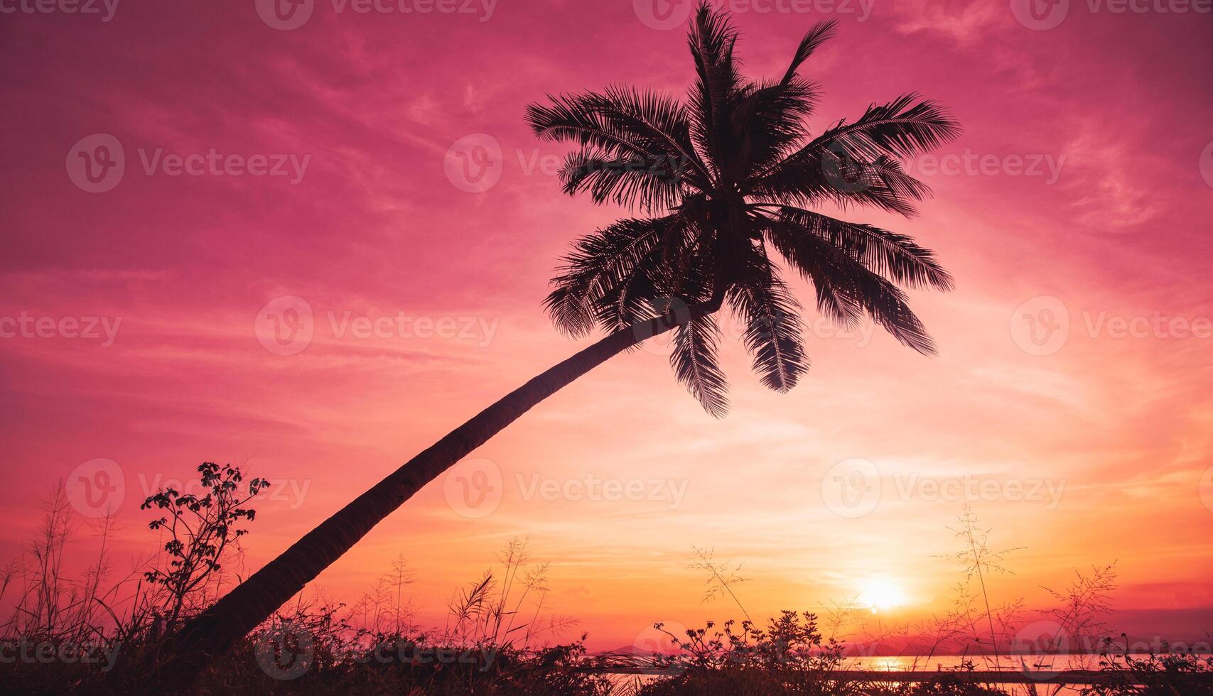 silueta de palmeras de coco en la playa al atardecer. tono vintage. foto