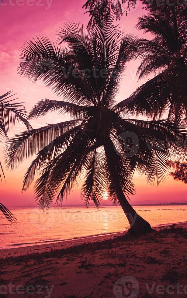 Silhouette coconut palm trees on beach at sunset. Vintage tone. photo