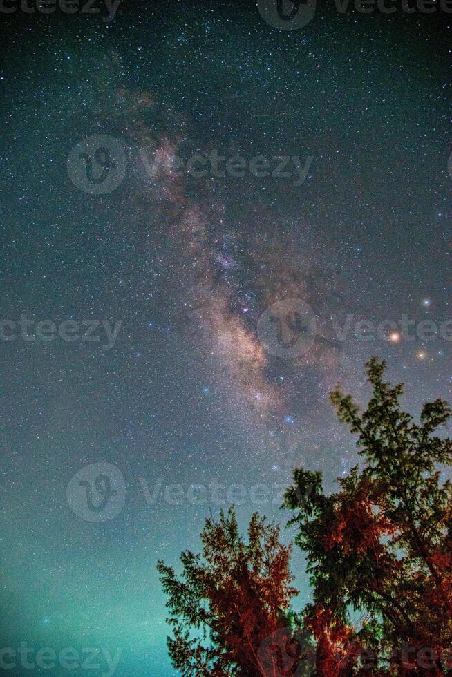 paisaje con lechoso camino galaxia terminado árbol. noche cielo con estrellas. largo exposición fotografía. foto