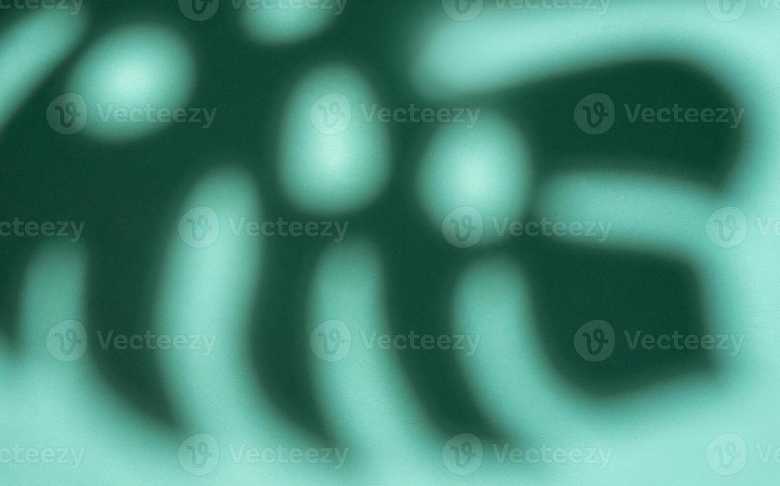 Shadows from monstera leaves photo