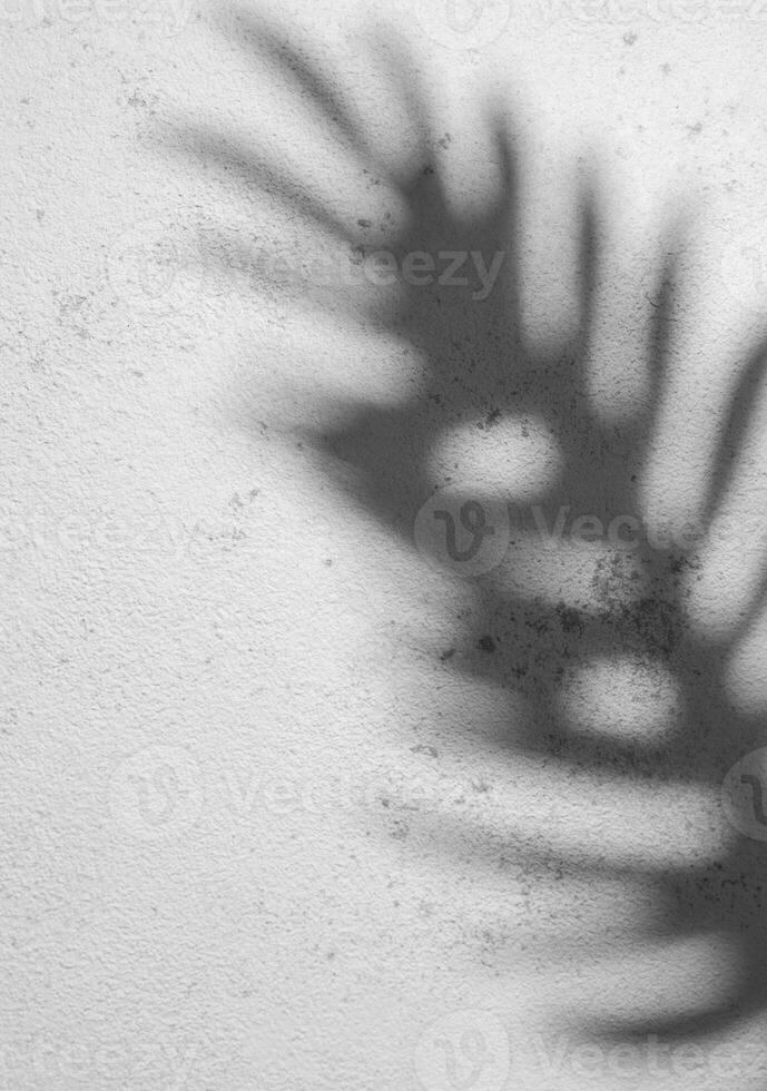 sombra de un helecho hoja emitir en un texturizado blanco pared durante luz foto