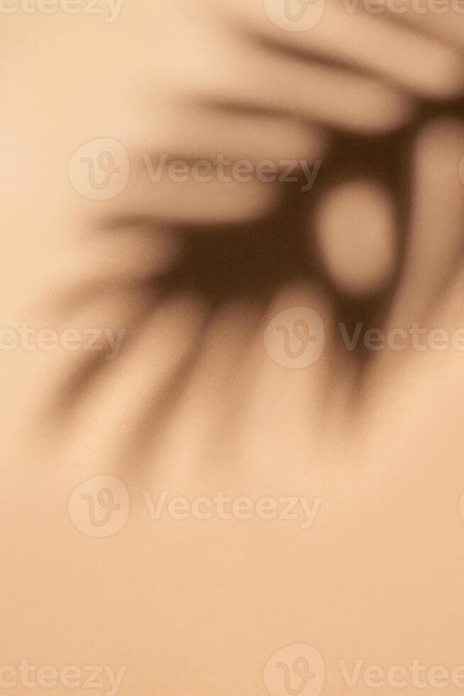 Shadows from palm leaves photo