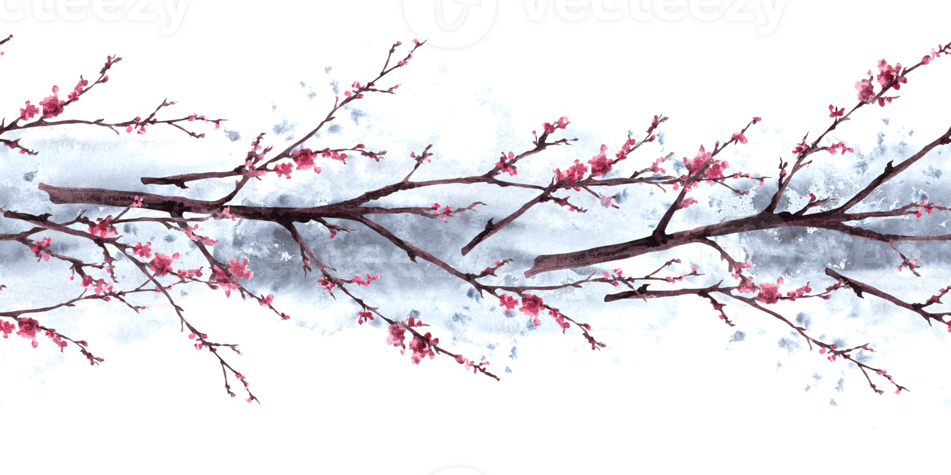 Watercolor hand drawn early spring blossoms of trees, sakura, cherry, apricot flowers. Seamless pattern, border on watercolor grey splashes. First buds, leaves. Botanical clipart Isolated illustration png