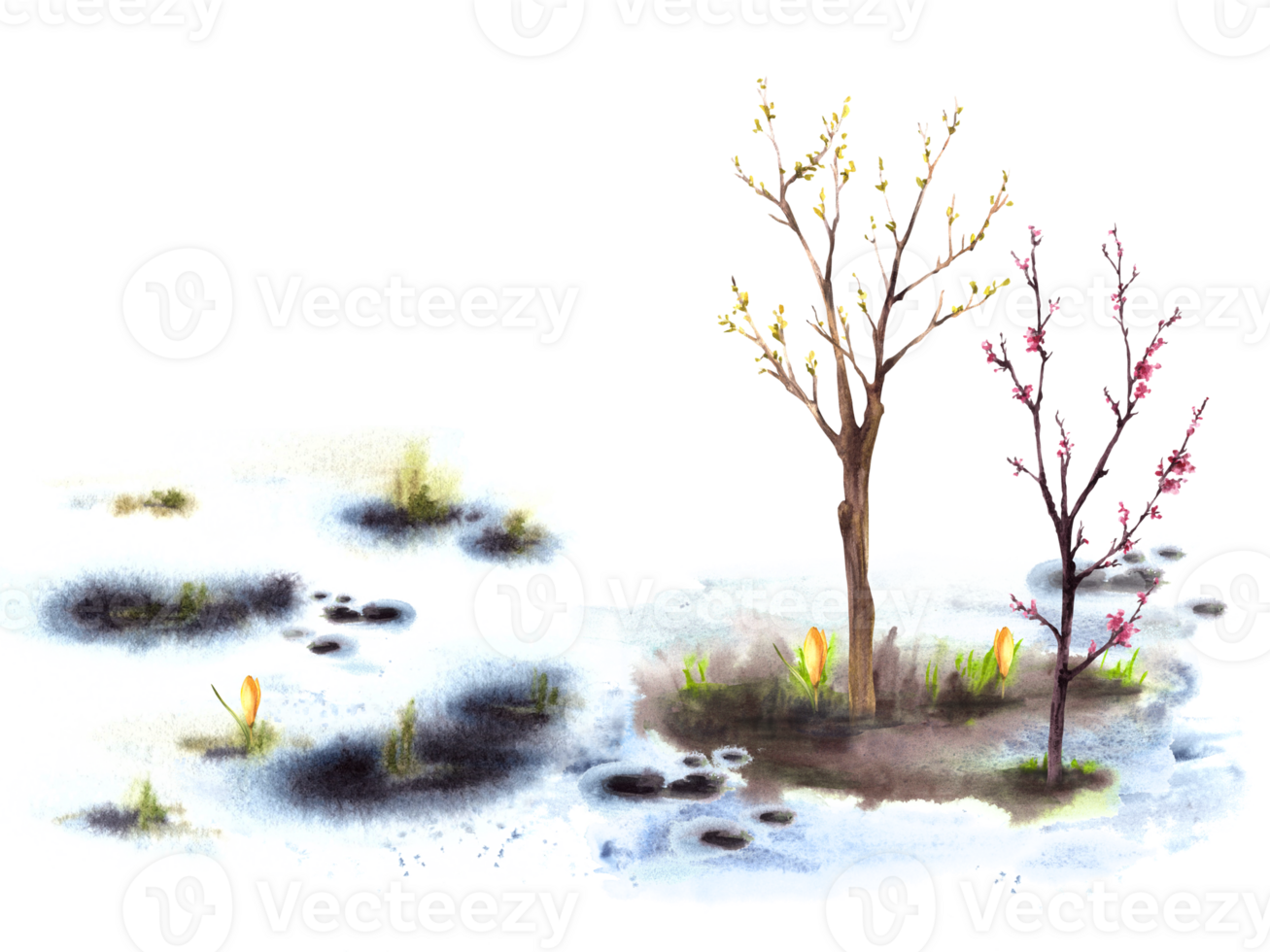 primario plantas flores, cierne primavera árbol, primero brotes y hojas en el arboles en antecedentes de derritiendo nieve. mano dibujado acuarela paisaje naturaleza despertar después invierno ilustración png