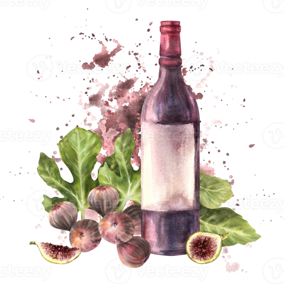 Branch of juicy, ripe purple figs with leaves, whole and cut fruit with bottle of red wine on watercolor stains splashes background. Clipart for card, label, price tag Hand drawn illustration Isolated png