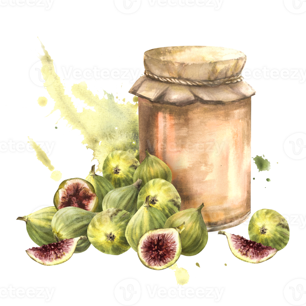 Watercolor fig jam in a glass jar, fresh whole and cut figs and slice on watercolor splashes background. Hand drawn illustration fruit Jelly and marmalade or drink label, sticker, logo print. Isolated png