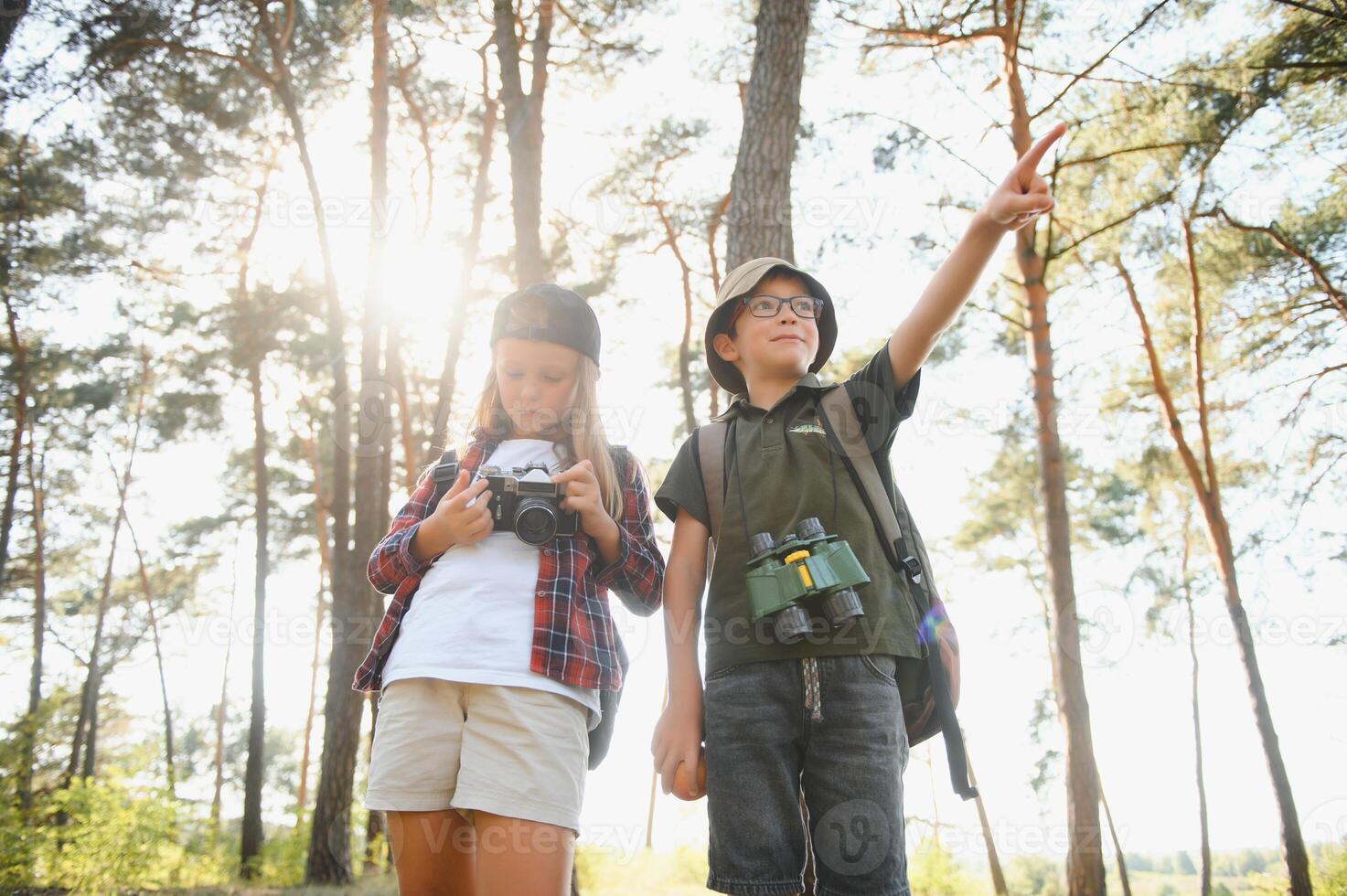 Group of curious happy school kids in casual clothes with backpacks exploring nature and forest together on sunny autumn day. photo