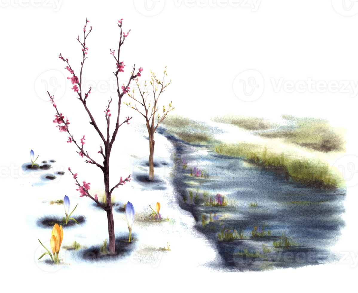 aguarela panorama primário plantas flores, florescendo Primavera árvores do cereja, sakura ou damasco, fluxo, a primeiro Relva quebra através a neve. mão pintado clipart fundo png