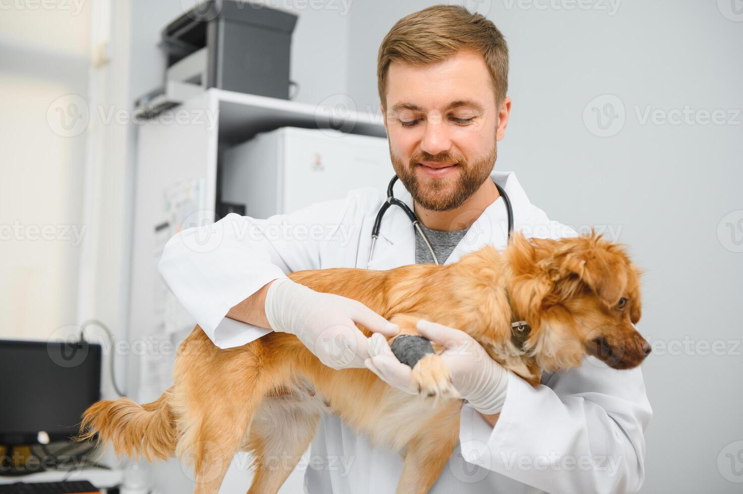 Dog with veterinarians in clinic. photo
