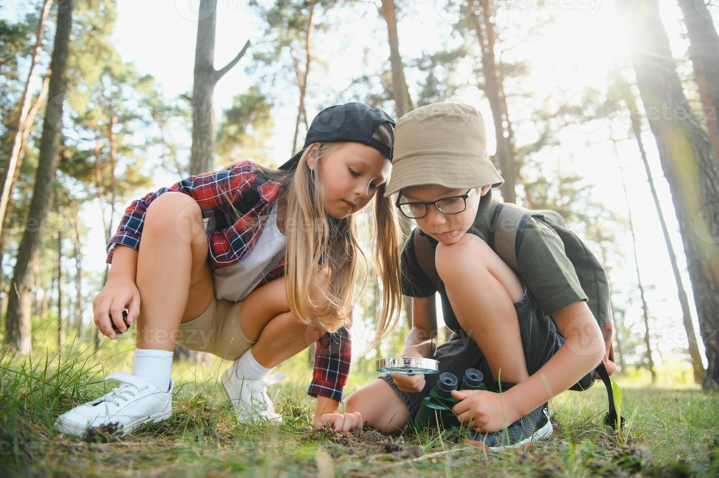 Two happy children having fun during forest hike on beautiful day in pine forest. Cute boy scout with binoculars during hiking in summer forest. Concepts of adventure, scouting and hiking tourism photo