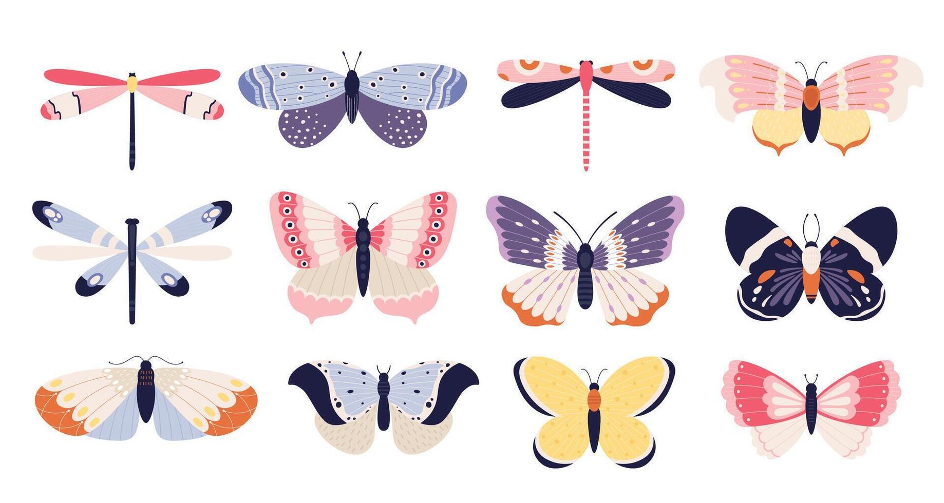 Cute butterflies collection, insects with colored pattern wings vector