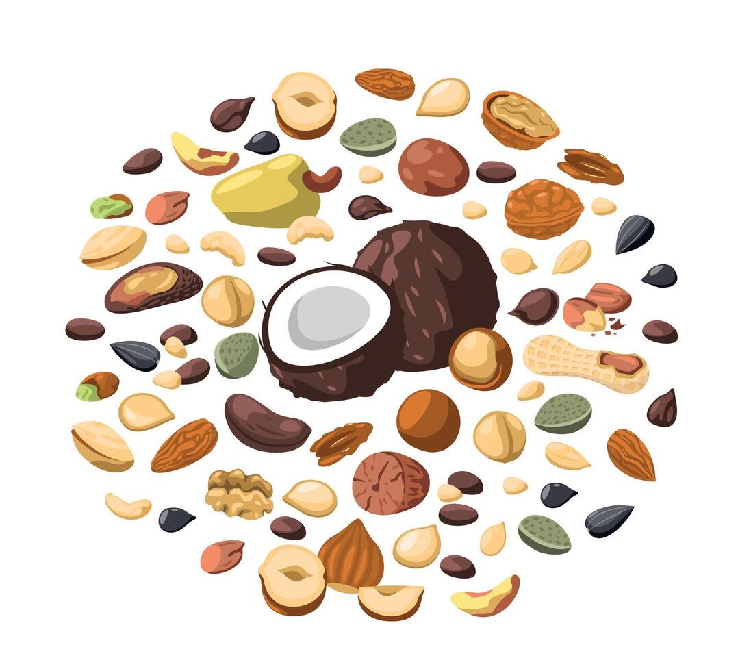 Nuts circle. Cartoon pack of dried nuts kernel, pistachio almond cashew hazelnut, organic food healthy snack. Vector isolated set