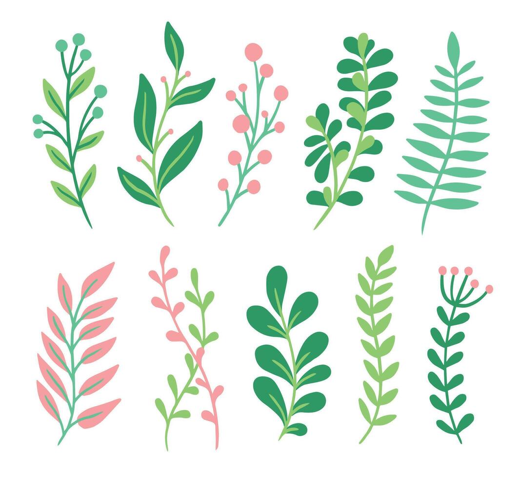 Decor leaves. Green and pink plant elements, organic garden foliage