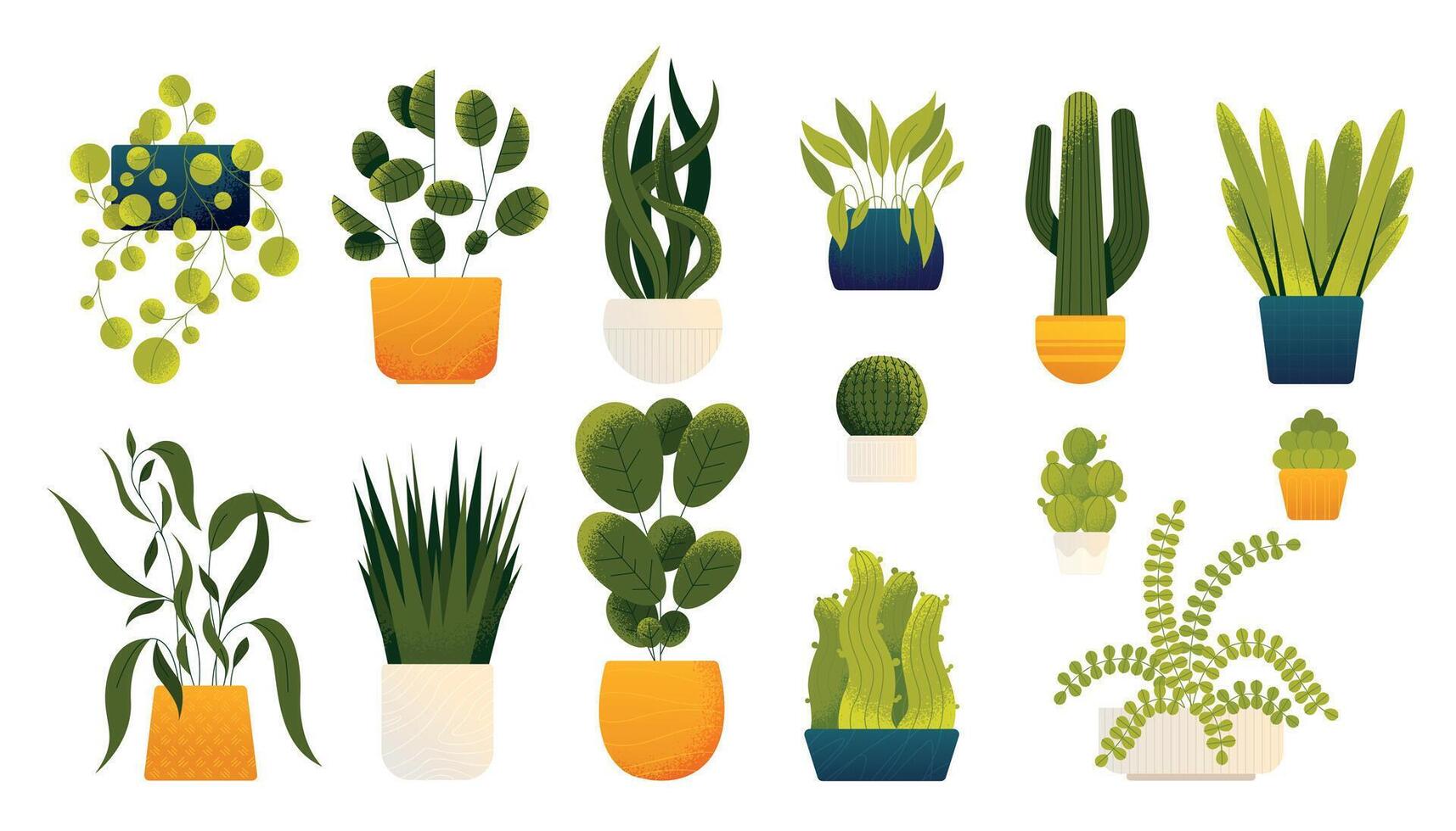 Houseplants in pots. Cartoon decorative plants in vases, monstera leaf and cacti, alocasia and philodendron in vase. Vector flat set