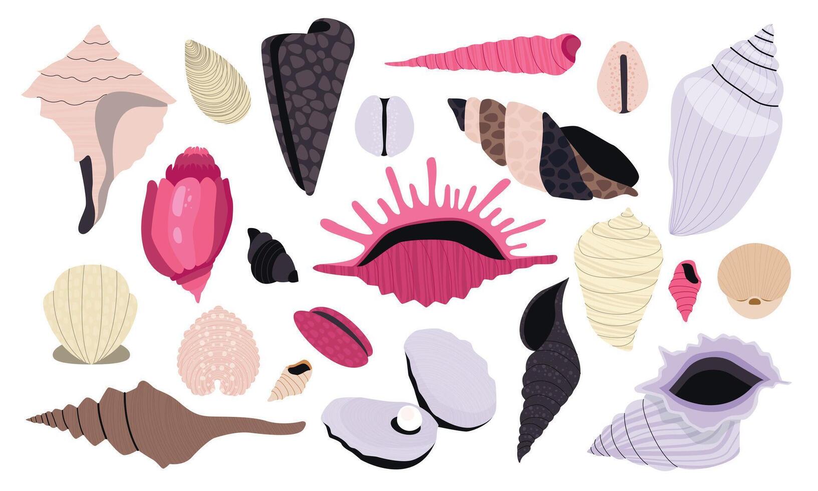 Seashell collection. Cartoon shellfish and coral, summer beach and ocean diving concept, mollusk icons flat style. Vector isolated set