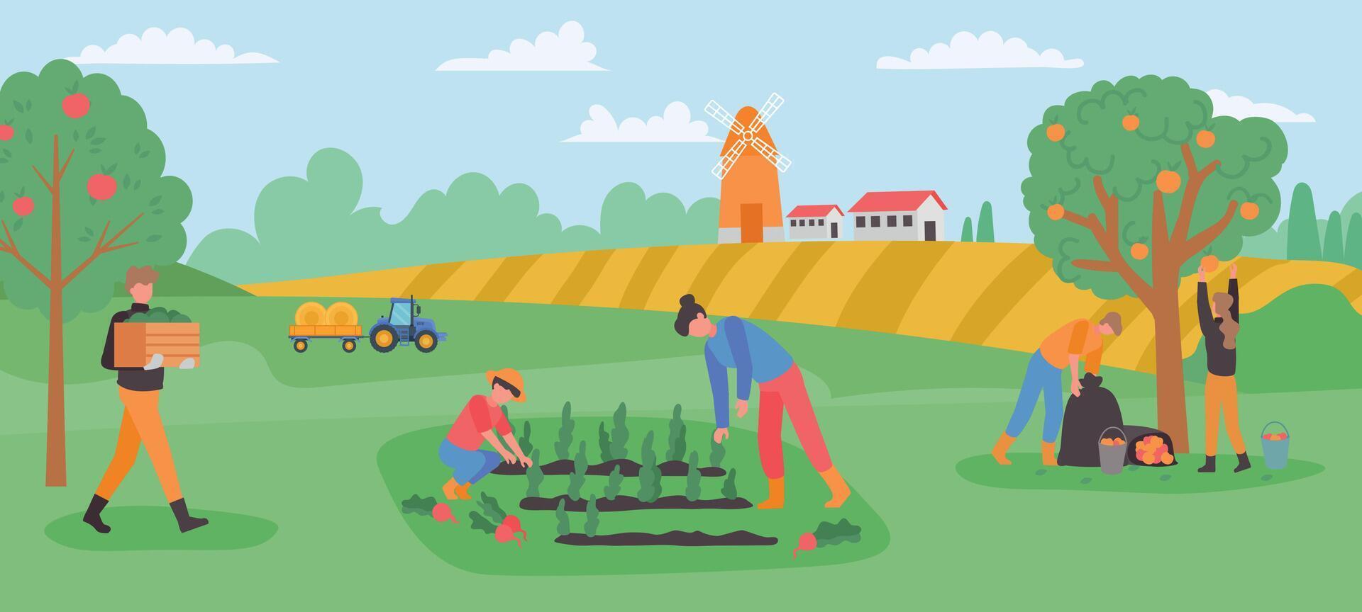 Autumn gathering, farmers collect harvest fruits and vegetables in garden vector