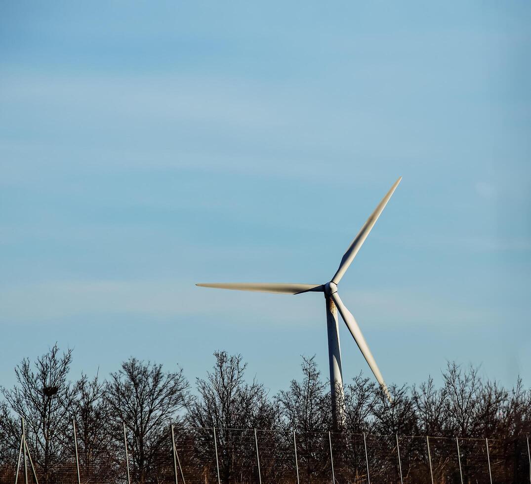 Wind farm park next to a road in Austria in sunny weather. photo