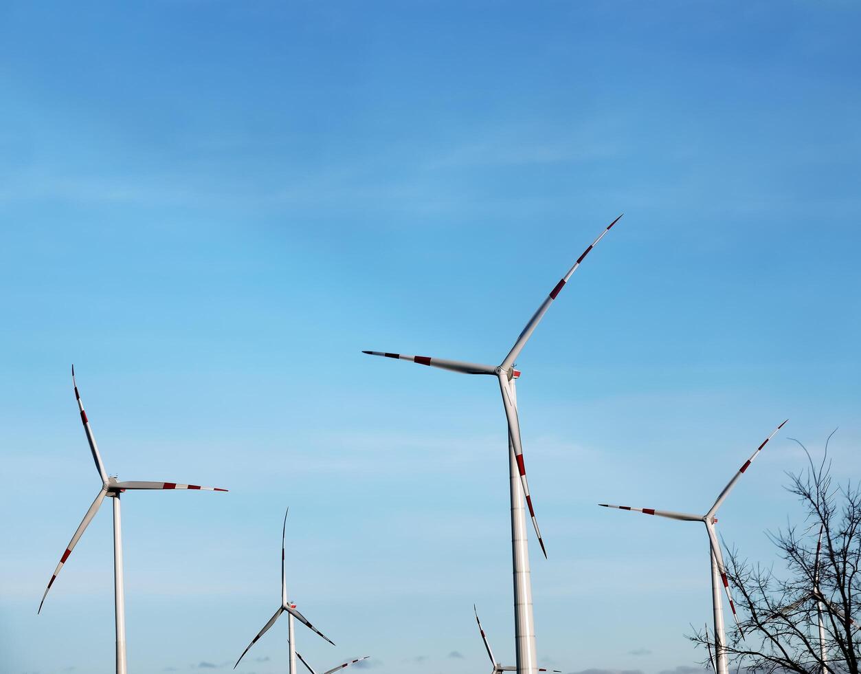 Wind farm park next to a road in Austria in sunny weather. photo