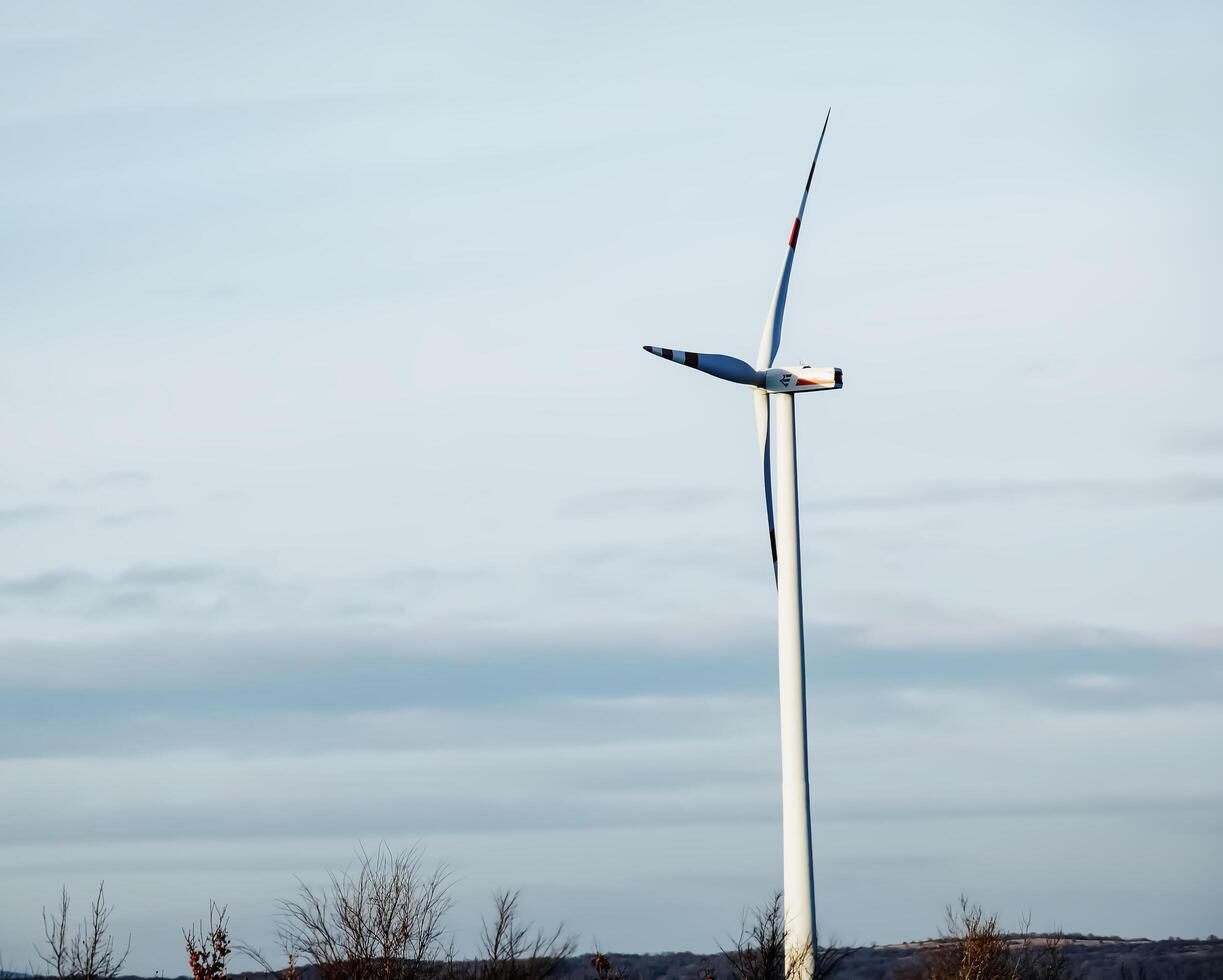 Wind farm park next to a road in Austria in sunny weather. photo