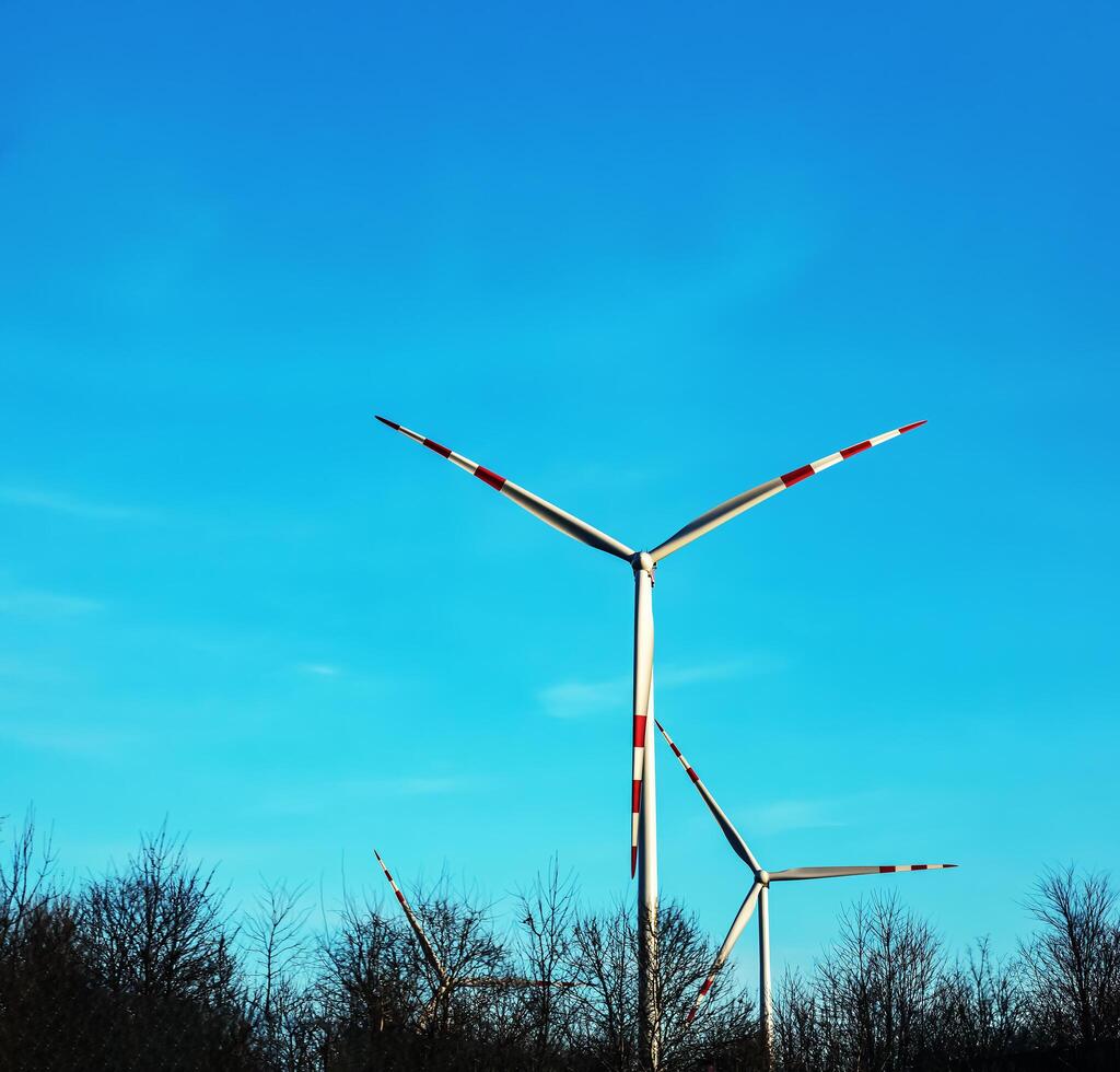 Wind farm park next to a road in Austria in sunny weather. photo