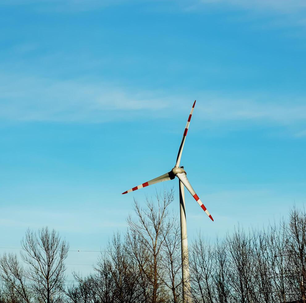 Wind farm park next to a road in Austria in sunny weather. photo