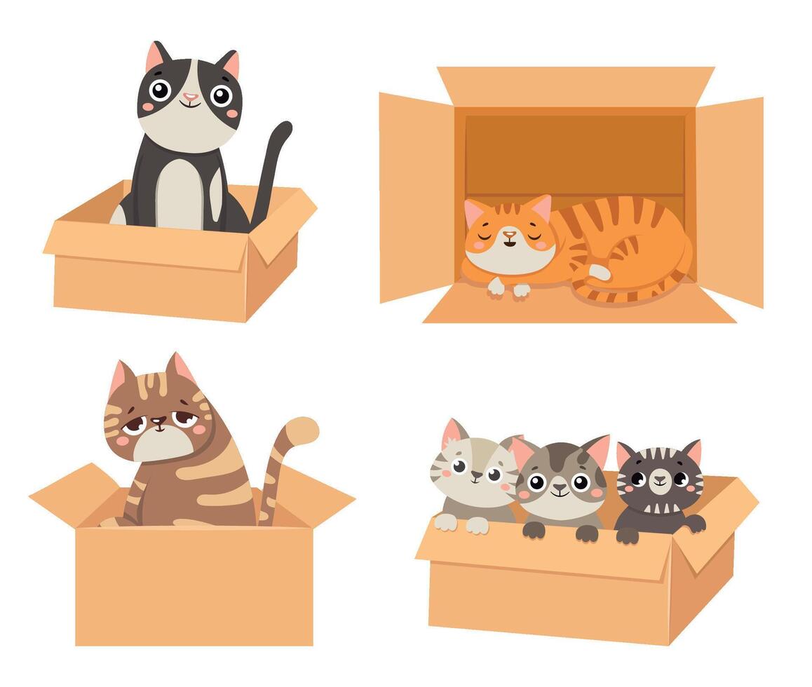 Cats in boxes. Animals sitting and sleeping in cardboard boxes. Little kittens looking out. Fluffy cute pet characters vector