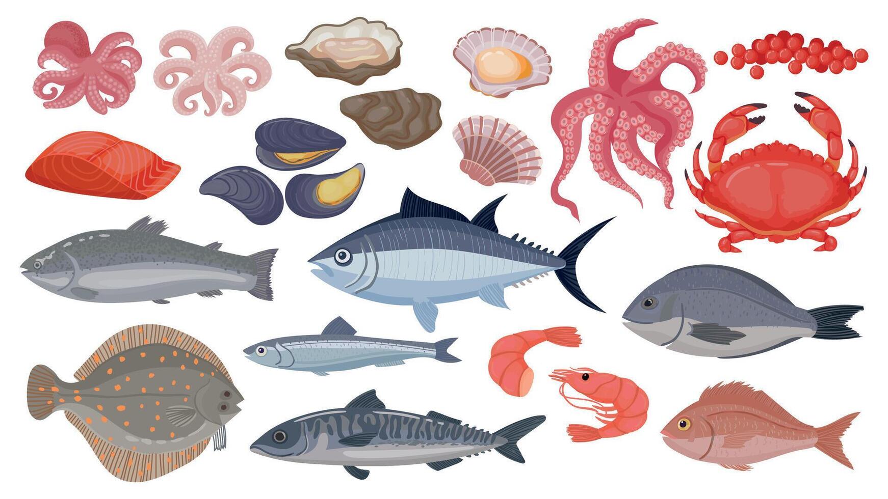 Fresh raw ocean and sea fish, tuna, salmon and herring. Cartoon seafood, shrimp, mussels, scallops, oysters and caviar, shellfish vector set
