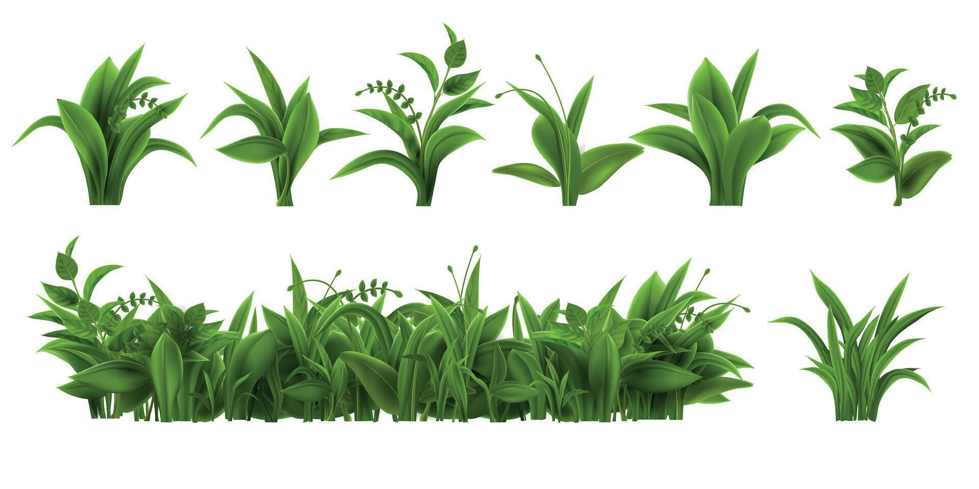 Realistic fresh green grass, weed and herb leaves. Spring plant tufts and bushes. Summer field, garden lawn or meadow vegetation vector set