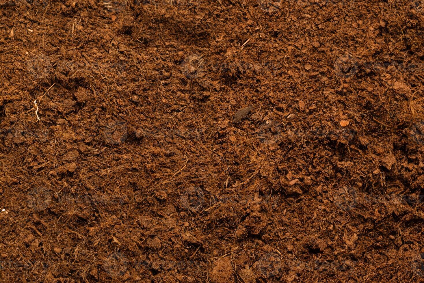 Coconut substrate background. photo