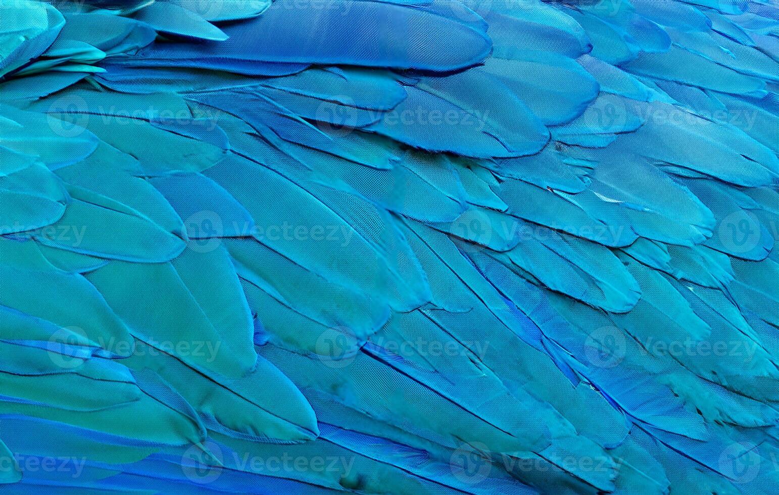 Close up of Blue macaw birds feathers background and. photo