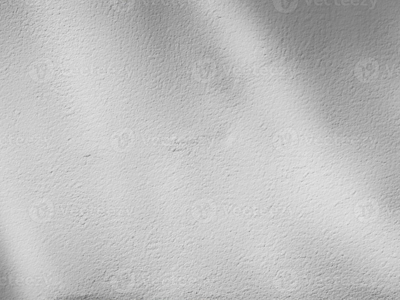 abstract shadow of the leaves on a white wall background photo