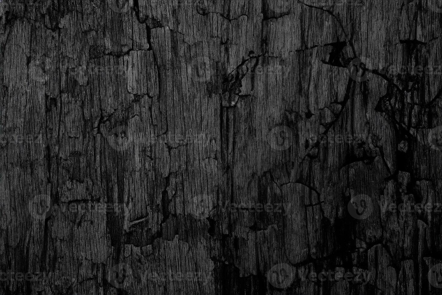 fondo de textura de madera negra en blanco para el diseño foto