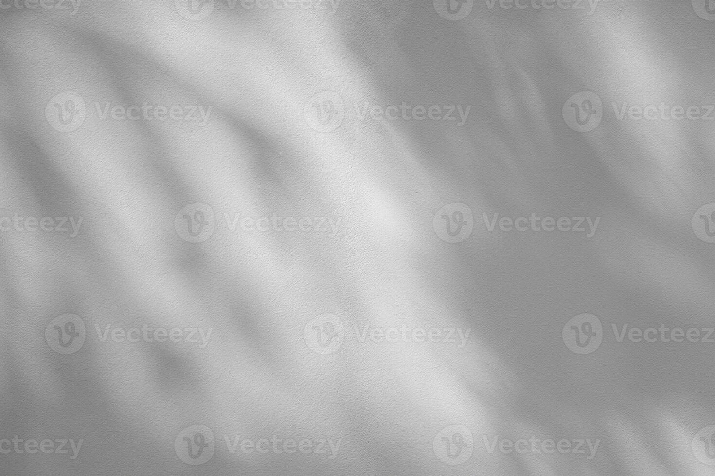 White cement wall with shadow of leaves photo