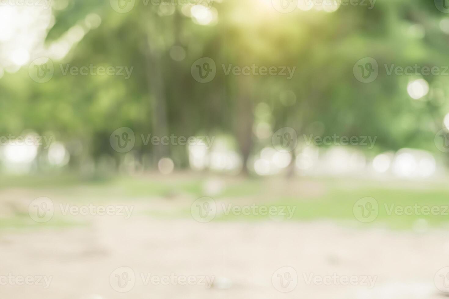 Blur nature green park with sun light abstract background. photo