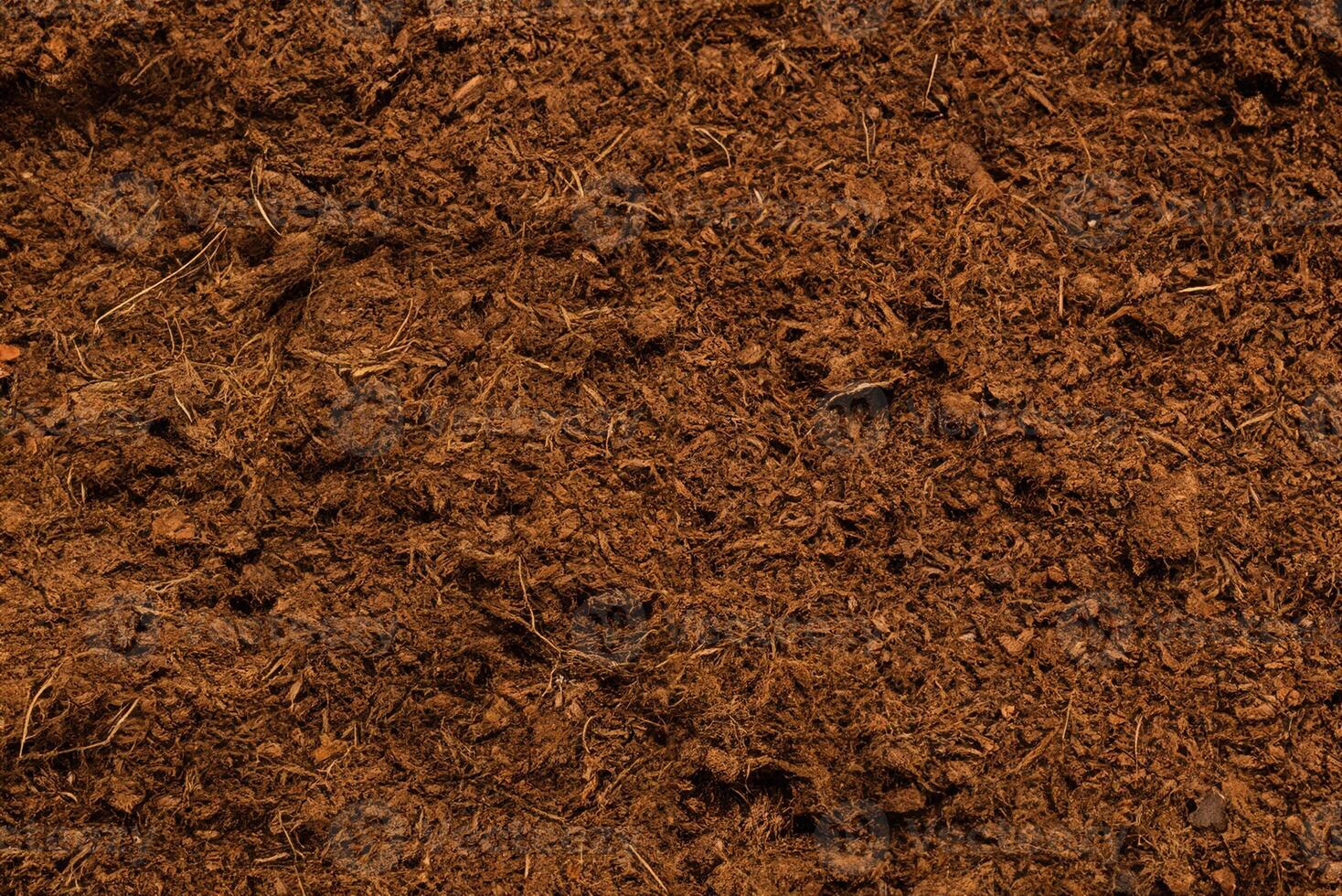 Coconut substrate background. photo