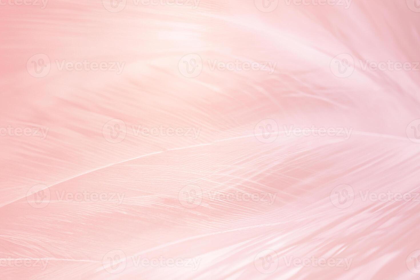 Beautiful soft pink color trends feather pattern texture background with orange light photo