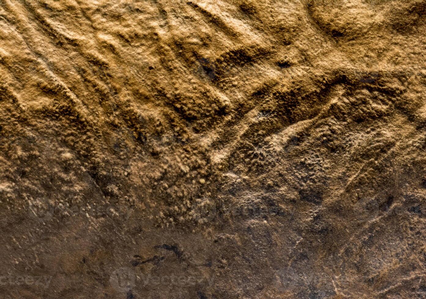Dinosaur skin texture photo